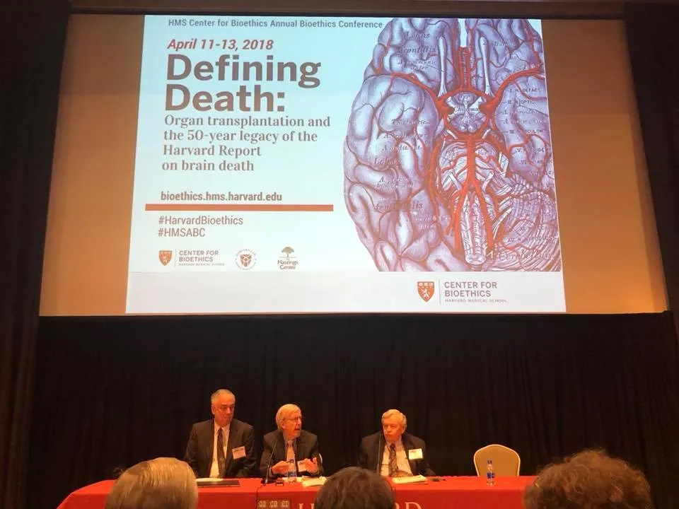 30698018 236167010277730 6981404038965231616 N.jpg